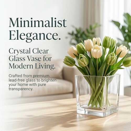 6 Pack Square Glass Vase 4" x 4" x 4", Clear Cube Vases for Centerpieces, Thickened Glass Flower Vases, Plant Terrarium, Floating Candle Holder for Wedding Party, Office/Home Decor, Events - size: 4"-6Pack