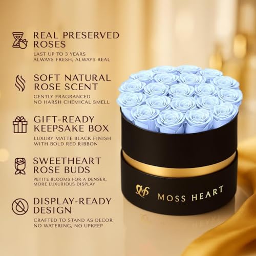 20 Mini Preserved Roses, Round Luxury Gift Box, Real Forever Roses Last 1+ Year, Premium Romantic Gift for Women, Wife, Girlfriend, Mother’s Day, Birthday, Anniversary, Valentine’s Day - color: Light Blue, size: 20 Roses