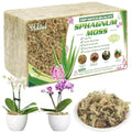 Halatool 3.3LBS Natural Sphagnum Moss for Plants 60 QT Premium Peat Moss Dried Long Fiber Orchid Moss for Orchid Repotting Carnivorous Succulents Garden Flowers Crafts Terrarium and Reptiles - size: 60 qt (3.3 lbs)