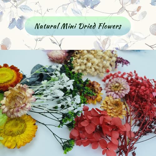 TooGet Mini Dried Flowers 9 Bags Natural Real Small Dry Flower Leaves for Crafts Colorful Mixed Color Dry Wildflowers Plants for DIY Art Candle Resin, Jewelry Crafts, Weeding Home Decorations