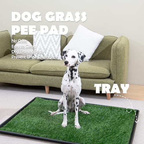 MEEXPAWS Dog Grass Pads for Dogs with Tray | Extra Large 45×34 in | 2× Dog Artificial Grass Pads Replacement| Rapid Drainage | 2 Training Pads | Indoor Dog Litter Box - size: XL 45×34 inch