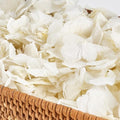 1500Pcs Real Dried Ivory White Hydrangea Petals for Wedding Petal Showers Romantic Evenings Proposal Decorations DIY Crafts Party Favors (1.06 oz)