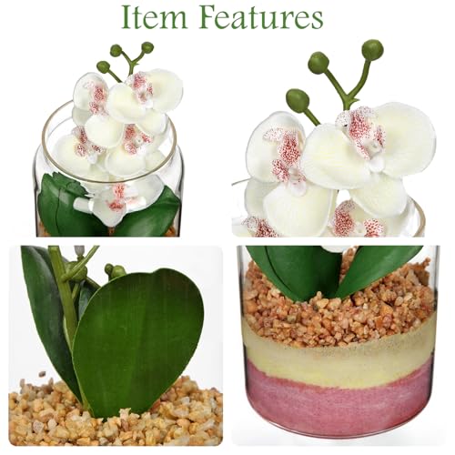White Orchids Artificial Flowers with Vase, Small Faux Orchid Arrangement Fake Orchids Plant in Terrarium Jar Small White Orchid Centerpieces for Kitchen Dining Room Tables Bathroom Nightstand Decor - color: White +Beige &Pink Sand