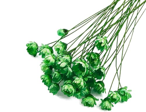 100 Stems Natural Dry Flowers Brazilian Small Star Daisy Decorative Dried Flowers Mini Daisy Chamomile Bouquet for Wedding Floral Arrangements Home Decorations (Green) - color: Green
