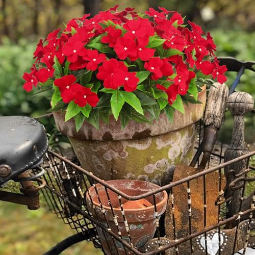 CITYES 4 Pcs Artificial Flowers Outdoor Impatiens UV Resistant Silk Impatiens Flowers Red Faux Flowers Impatiens Bushes Artificial Impatiens for Pot Patio Lawn Garden Hanging Basket Porch Decor - color: Red