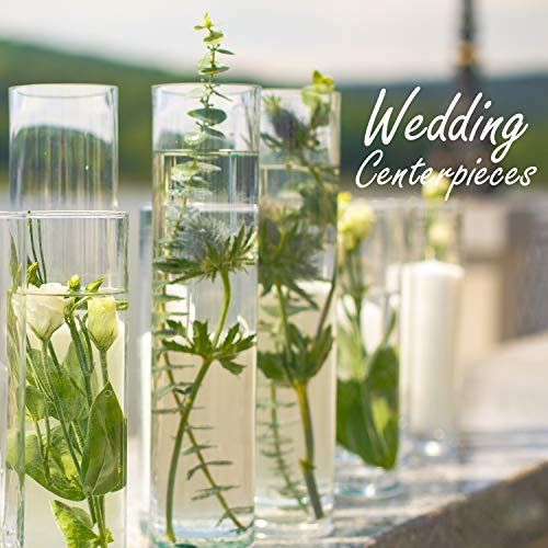 CYS EXCEL Cylinder Clear Glass Vase (H:40" D:6") | Multiple Size Choices Glass Flower Vase Centerpieces | Hurricane Floating Candle Holder Vase, (GCY122/40) - size: H-40" D-6"