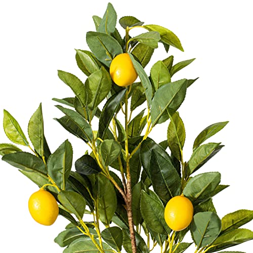 Vickerman Everyday 28" Artificial Potted Lemon Tree - Lifelike Home Or Office Decor - Premium Faux Potted Tree with Real Touch Leaves - Maintenance Free - color: Green, size: 2ft 4in