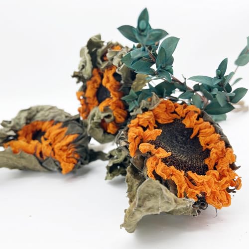 L'BREVOGA Dried Sunflowers with Stem, 3 pcs Natural Dried Sunflower for Floral Arrangements Home Wedding Party Decoration (15 Inches)