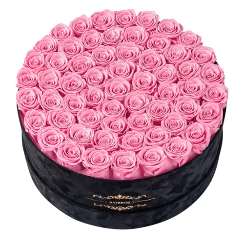 Gifts for Women – NATROSES 60 Preserved Roses in Luxury Black Velvet Box, Preserved Flowers for Delivery Gift for Her, Elegant Rose for Birthday, Mother’s Day, Christmas (Pink) - color: Pink, size: 60 Roses