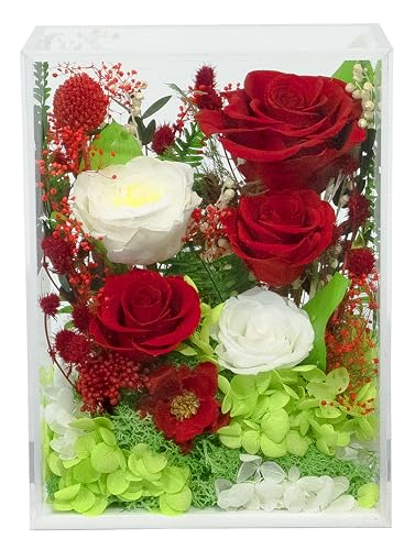 Valley of Rain & Forest Long-Lasting Real Flowers With Delivery | Handcrafted Preserved Rose Bush For you to Send Love for All Occasions, Indoor Floral Decor (Red White Roses Arrangement) - color: Red White Roses Arrangement