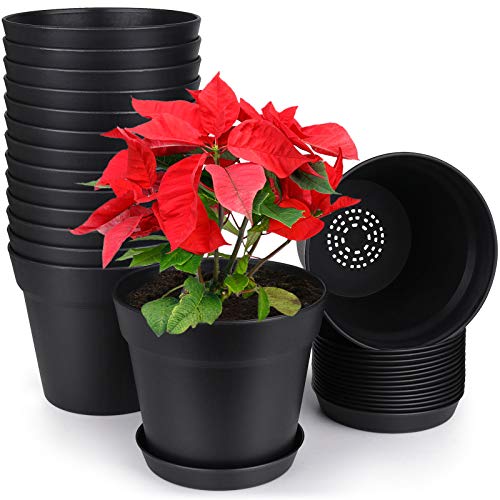 homenote Pots for Plants, 15 Pack 6 Inch Plastic Planters with Multiple Drainage Holes and Tray,Plant Pots for All Home Garden Flowers Succulents (Black) - color: Black-15 Pcs, size: 6 Inch