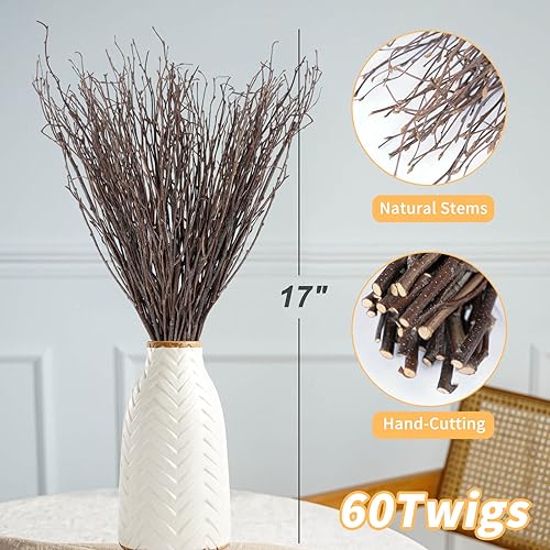 60Pcs Real Dried Birch Twigs Branches - 16” Natural Decorative Birch Branches for Easter Vases, Birch Sticks for DIY, Centerpiece, Floral Arrangment, Twig Wreath, Rustic Home Decor - size: 60