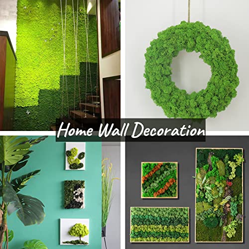 Moss Preserved Artificial Moss 8.8 oz Natural Fresh Green Moss for Craft Arts Floral Project Wall Decor Table Decor Wedding Centerpieces Garden Terrariums Decoration - color: Green, size: 8.81oz