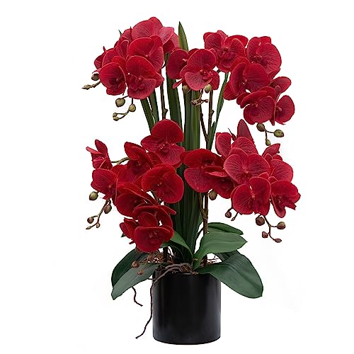 CXGS Artificial Orchid Flower Plants Real Touch Faux Orchids in Ceramic Vase 20.9'' Red Phalaenopsis Orchid Fake Flower Arrangement Home Indoor Decor - color: Red- Black (12cm)