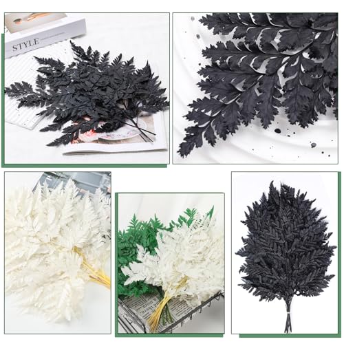 Fern Preserved Black Ferns, 10 PCS Dried Boston Fern with Stems, 15'' Real Leaves for Dried Flowers Arrangements Wedding Garland Bouquets Home Party Centerpiece Table Decorations Vase Filler