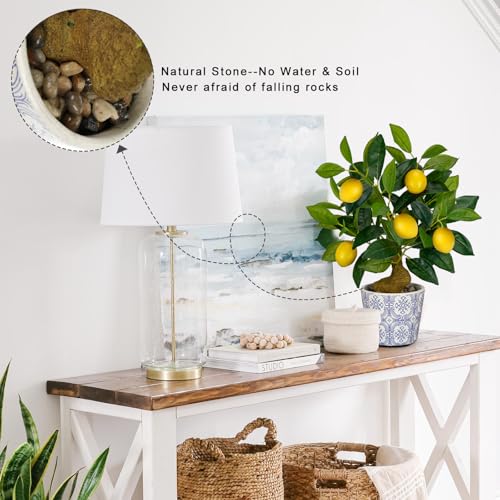 Artificial Potted Plants, 15.7 inches Small Fake Lemon Tree Artificial Lemons Citrus Tree with Blue and White Pot Faux Potted Plants Indoor Lemon Decorations for Home, Office, Living Room Table, Desk - style: Modern