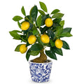 Artificial Potted Plants, 15.7 inches Small Fake Lemon Tree Artificial Lemons Citrus Tree with Blue and White Pot Faux Potted Plants Indoor Lemon Decorations for Home, Office, Living Room Table, Desk - style: French Country