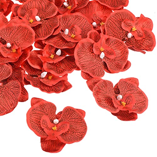 PATIKIL 9cm/3.5" Artificial Orchid Flower Heads, 20 Pack Silk Phalaenopsis Fake Butterfly Orchid Heads for Wedding Floral Bouquet Decor DIY Craft Making, Red - color: Red, size: 3.5"