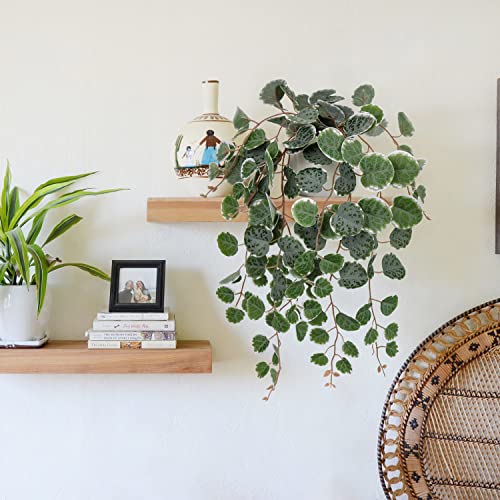Briful Fake Plants Indoor 16'' Artificial String of Hearts Plants with Ceramic Pot Faux Draping Vine Plants for Home Bathroom Table Shelf Office Hotel Decor - color: Green
