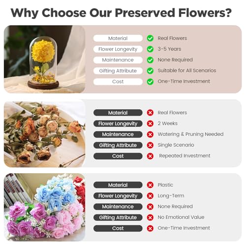 Forever Hydrangeas in Glass Dome,Forever Preserved Flowers Gifts Mothers Day Birthday for Grandma Women Mom Wife,Fresh Flowers for Delivery/Yellow Hydrangea - color: Yellow