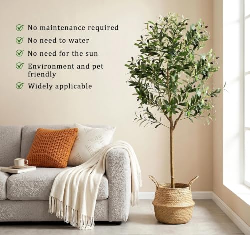 Olive Trees Artificial Indoor, 6FT Faux Olive Tree with Black Planter, Tall Fake Tree with Artificial Moss Natural Trunk Realistic Fruits for Home Office Decor Indoor