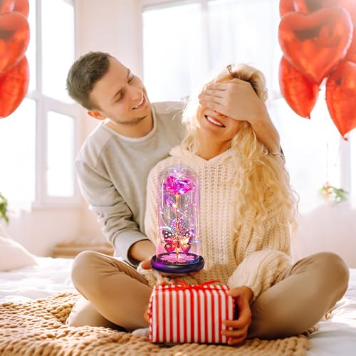Mothers Day Mom Gifts for Mom Women Birthday Gift Galaxy Glass Rose in Glass Dome Forever Eternal Crystal Flowers with Butterfly Mother's Day Flowers Gifts for Women Wife Grandma Daughter Sister Pink - color: D Pink
