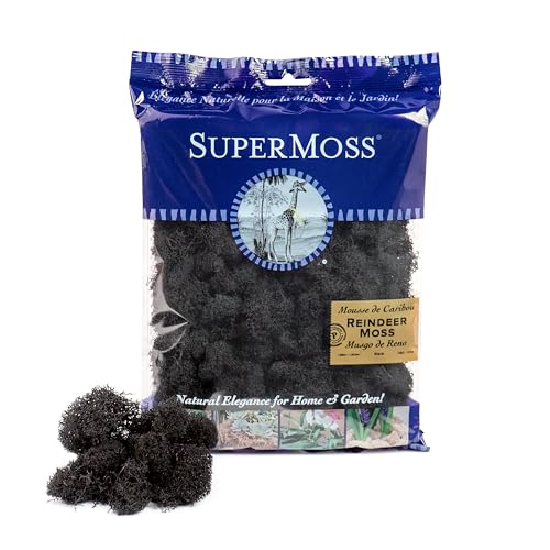 Super Moss (25123 Reindeer Moss Preserved, Black, 2oz - color: Black, size: 80.75 cubic inch (in3) Bag (Appx. 2oz)