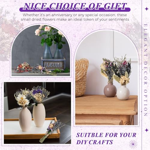 Layhit 24 Pcs Boho Dried Flower Bouquet Mini Wedding Handmade Dry Flowers Decor for Vase Crafts DIY Photo Boutonniere for Men Floral Plant for Bridesmaid Gift Birthday Decor (Lavender) - style: Lavender