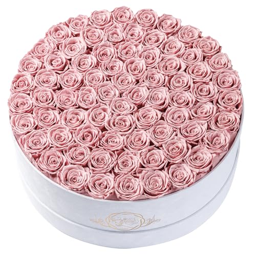Prifroti 75 Preserved Roses in Suede Box – Luxury Rose Flower Arrangement, Preserved Flowers Gifts for Women, Wife or Mom – Birthday, Anniversary, Valentine’s Day, Mother's Day (Dusty Rose) - color: Dusty Rose, size: 75 Roses