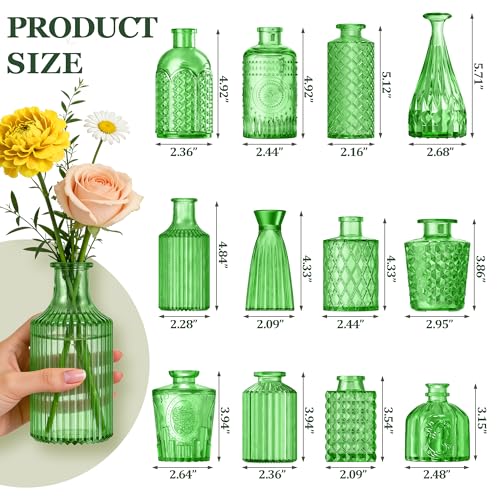 12 Pcs Green Bud Vases Set, Armber Small Vintage Glass Clear Bud Flower Vases Bulk Multiple Shape Cute Mini Glass Bottles Vases for Rustic Wedding Centerpieces Table Decorations and Home Decor - color: Green