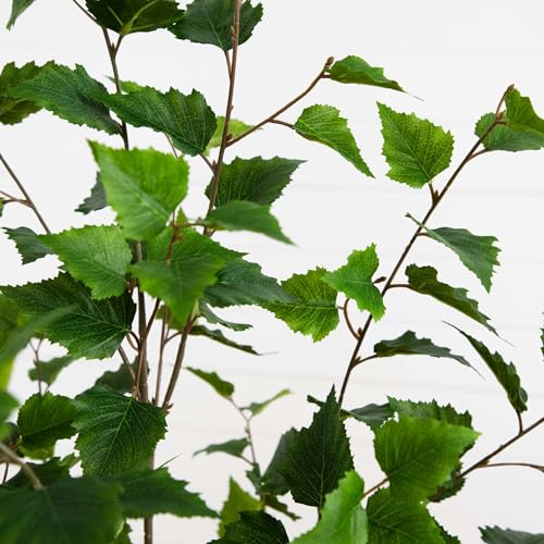 Nearly Natural 5ft. Artificial Birch Tree with Real Touch Leaves - size: 5ft