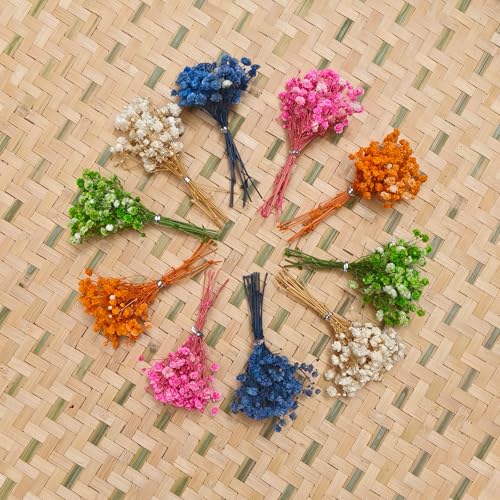 120 Pcs Mini Dried Baby Breath Flowers Gypsophila Ivory Mixed Color Flowers Dried Flowers for Vase Wedding Home Office Party Garden Card Making Decor Wreath Floral Craft DIY Art (Mixed Color Varient) - color: Mixed Color Varient