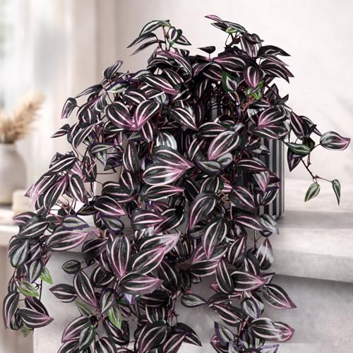 2 Pack Artificial Hanging Tradescantia Plants with Ceramic Pot Large Purple Cascading Faux Greenery Full Trailing Fake Vines Indoor Wall Shelf Decor for Bathroom Patio Outddor Decor (Purple-01) - color: Purple-01