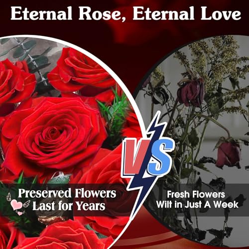 ADDWel 24 Preserved Red Roses Bouquet - Real Roses That Last 3+ Years, Romantic Anniversary & Birthday Gifts for Women, Wife, Girlfriend - Two Dozen Infinity Flowers for Delivery - color: Preserved Red Roses Bouquet - 24 Roses