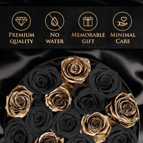17 Black & Gold Forever Roses, Velvet Box - Luxury Black Roses, Graduation Flowers, Golden Roses, Preserved Rose Gifts for Women, Flowers for Teacher, Black Roses for Delivery Prime