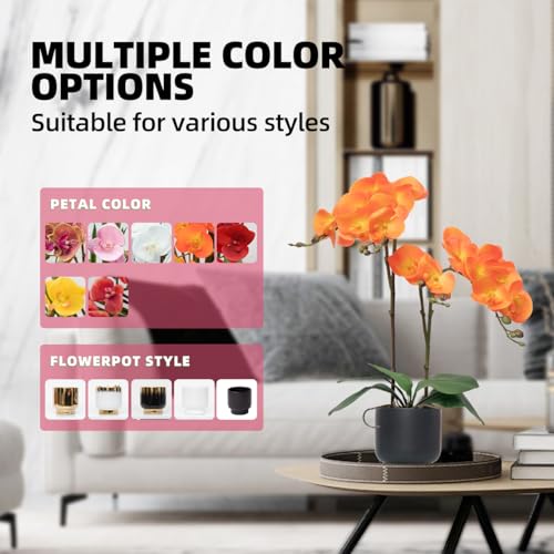 CXGS Orchids Artificial Flowers Real Touch Fake Flowers in Ceramic Pot 20" Orange Faux Orchid Plant Lifelike Silk Phalaenopsis for Centerpiece Hotel Home Indoor Decor - color: Orange- Black Vase