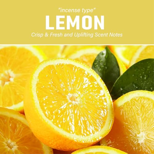 2 Pack Artificial Succulent Plants with Subtle Lemon, Faux Indoor Plants for Home Decor, Small Fake Plant for Bathroom, Bedroom, Office Decor, Aesthetic Room Accessories, Housewarming Gift - style: 2 Pack Lemon