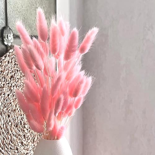 60PCS Rabbit Tail Grass Dried Flowers Dried Natural Floral Arrangement Bunch Decoration Dried Grass,Eternal Flower Dried Grass for Home,Wedding,Party,Flower Bouquet,Photo Props Decor (Pink)