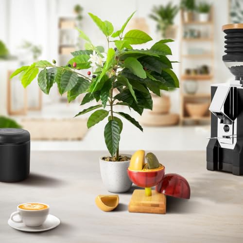 Artificial Coffee Bean Plant Tree for Crafts Coffee Table Decoration Coffee Bar Decor Accessories Tools Detachable Coffee Bean Model Resin Fake Fruit Coffee Bean with Bamboo Base for Coffee Bar
