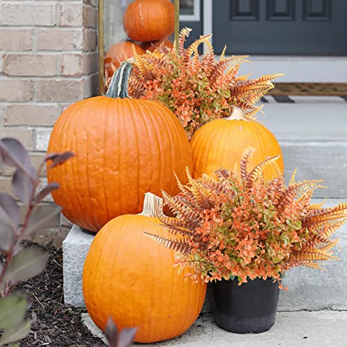 Uieke 6PCS Artificial Fall Flowers Outdoor UV Resistant, 3PCS Fall Fake Plants with 3PCS Autumn Boston Fern Plants Bushes for Outside Garden Front Porch Sidewalk Window Box Fall Décor Orange - color: Orange