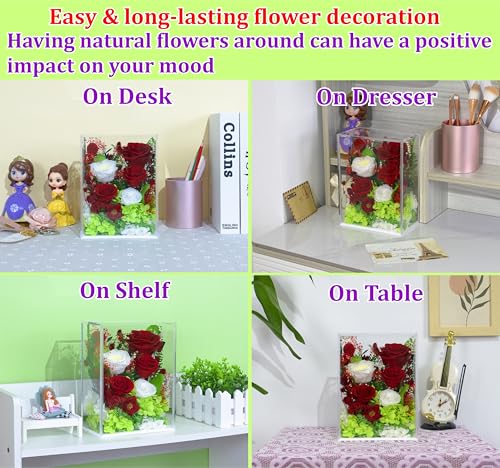Valley of Rain & Forest Long-Lasting Real Flowers With Delivery | Handcrafted Preserved Rose Bush For you to Send Love for All Occasions, Indoor Floral Decor (Red White Roses Arrangement) - color: Red White Roses Arrangement