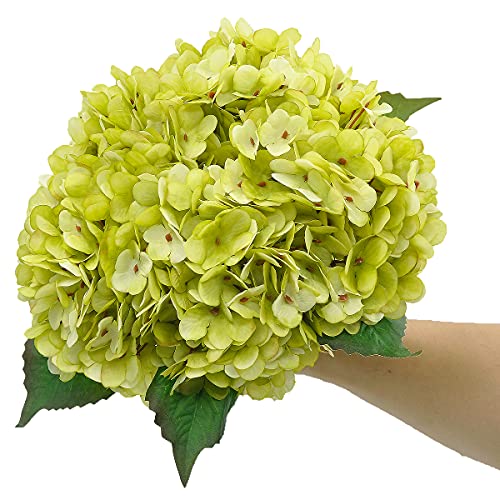 6Pcs Artificial Fake Flowers Silk Hydrangea 1 Flower Head Stem for Arrangements Wedding Bouquets Decorations Plastic Floral Table Centerpieces Home Kitchen Garden (Light Green) - color: Light Green