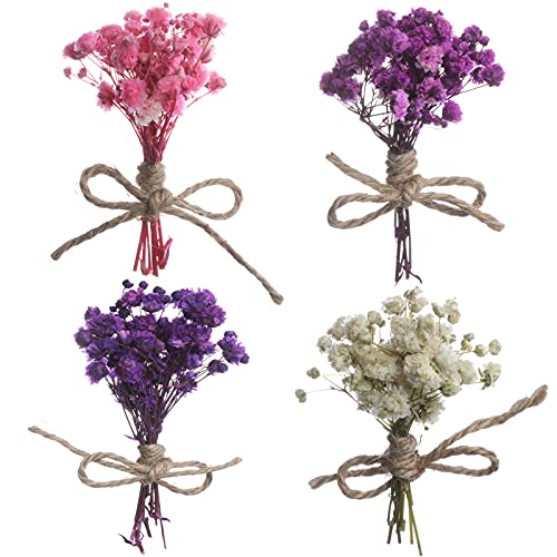 8Pcs Mini Gypsophila Bouquets Natural Gypsophila Dried Flowers Bouquet Dry Flower&Leaves Lagurus Dried Embossing Flower Bundles Plant Stem Bunch for DIY Craft,Photo Props,Party,Wedding Card Decoration - color: Type1