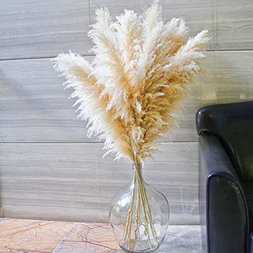 10 Stems 46" inch Dried Pampas Grass Decor Tall, Large Pompas Grass, Boho Neutral Home Decor Bouquet, Fluffy Pampass Grass for Floor Vase Wedding Floral Arrangements Wall Farmhouse Table Decor - size: 10PCS-46inch