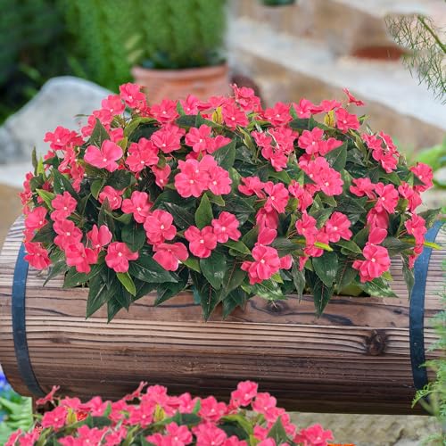 Fake Flowers Artificial Flowers for Outdoor,Silk Artificial Impatiens Bouquet Flowers for Outdoors，Spring Flowers Flores Artificiales para Decoracion Indoor Decor 15.7" (Rose Red) 8PCS - color: Rose Red-8