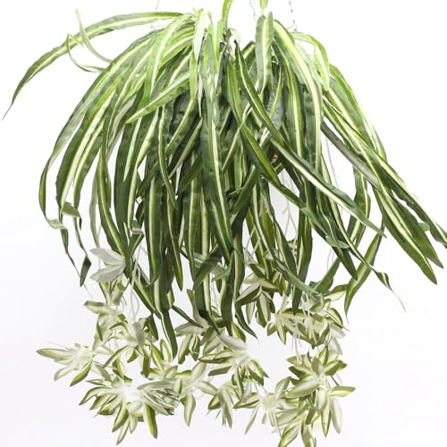 3 Packs Artificial Spider Plant, Silk Faux Chlorophytum Comosum Fake Spider Hanging Plant Decor for Outdoor Indoor Home Garden Office Decoration