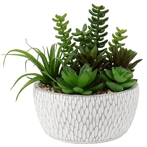 Briful Small Fake Plants Assorted Faux Succulents in Pots Realistic Succulents Plants Artificial with Cement Pots for Home Table Office Desk Bathroom Shelf Living Room Decor - color: Succulent #03