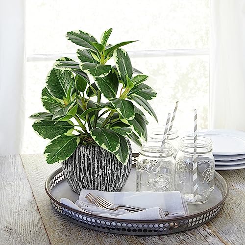 Artificial Plants Indoor Outdoor, Faux Variegated Oak Leaf Plant, Fake Potted Plants Artificial Decor for Coffee Table Desk Shelf, Faux Plants Indoor for Living Room Bathroom Bedroom Entryway Office - color: Green#02