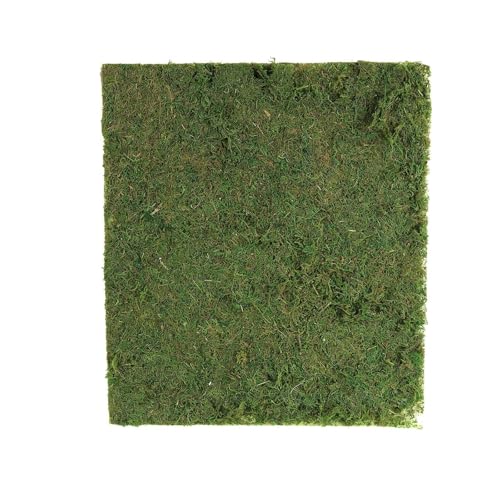 Tableclothsfactory 18" x 16" Preserved Natural Moss Roll Faux Green Living Wall Foliage Green Garden Wall Mat - color: Moss