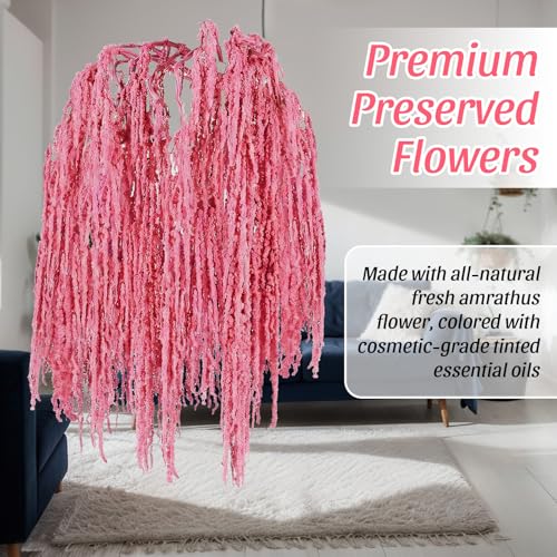 Suncalla 12 Pcs Rose Pink Spring Natural Dried Amaranthus Hanging Flowers Amaranthus Artificial Flowers for Wedding Arch Bouquet Floral Garland Wall Home Decoration (23 Inch) - color: Rose Pink
